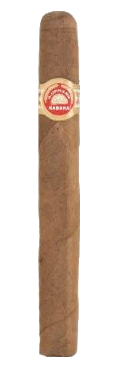 H. Upmann Amatistas