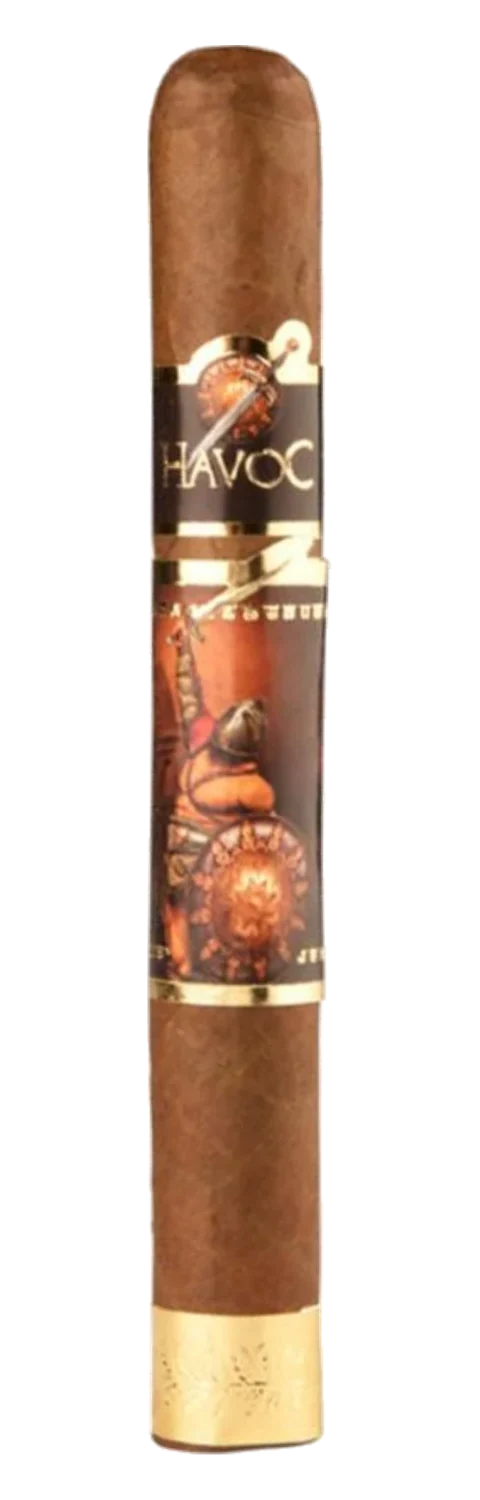 Havoc Toro