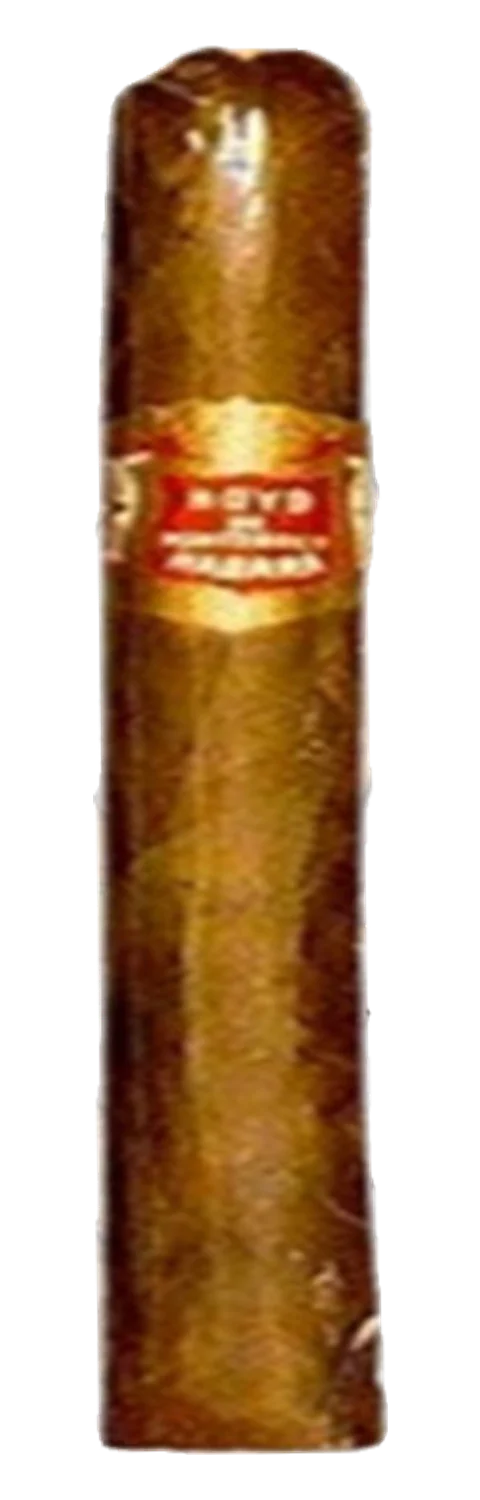 Hoyo de Monterrey 50 Exquisito