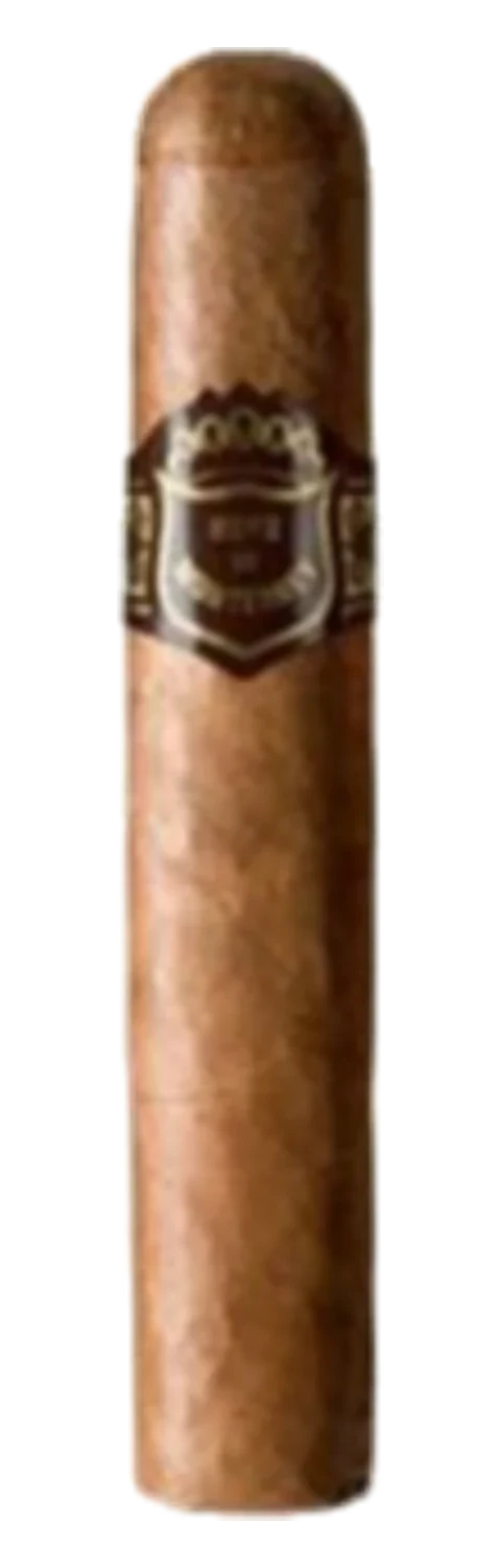 Hoyo de Monterrey Silver Foil No. 450 Robusto