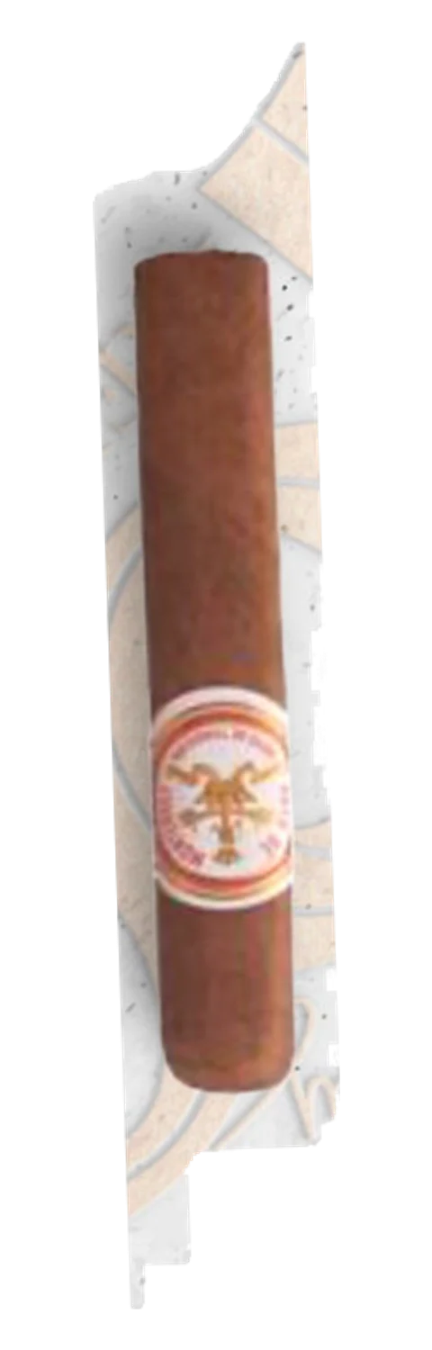 Hoyo de Monterrey Tradicion Rothschild