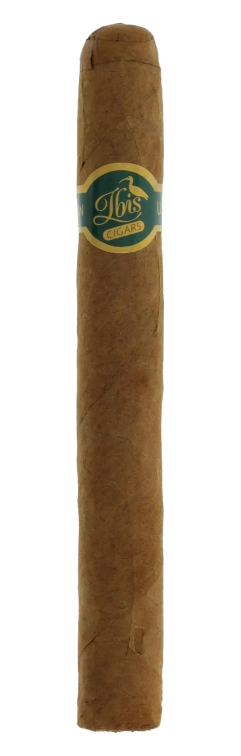 Ibis Honduran Selection Corona