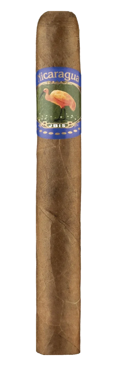 Ibis Nicaragua Toro