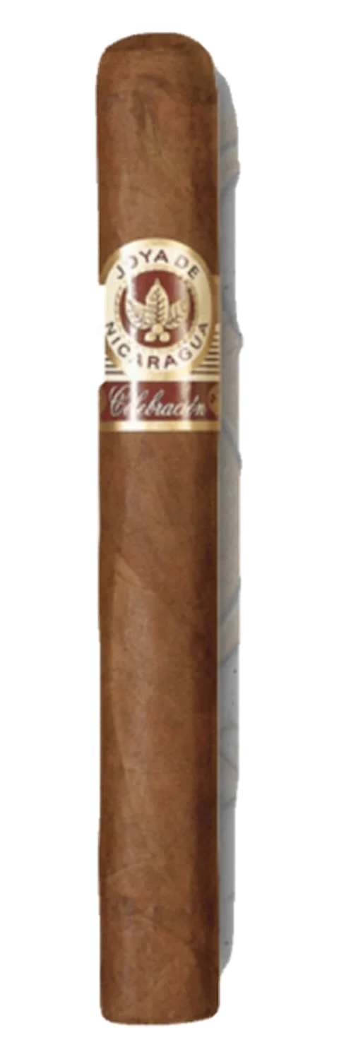 Joya de Nicaragua Celebración Toro