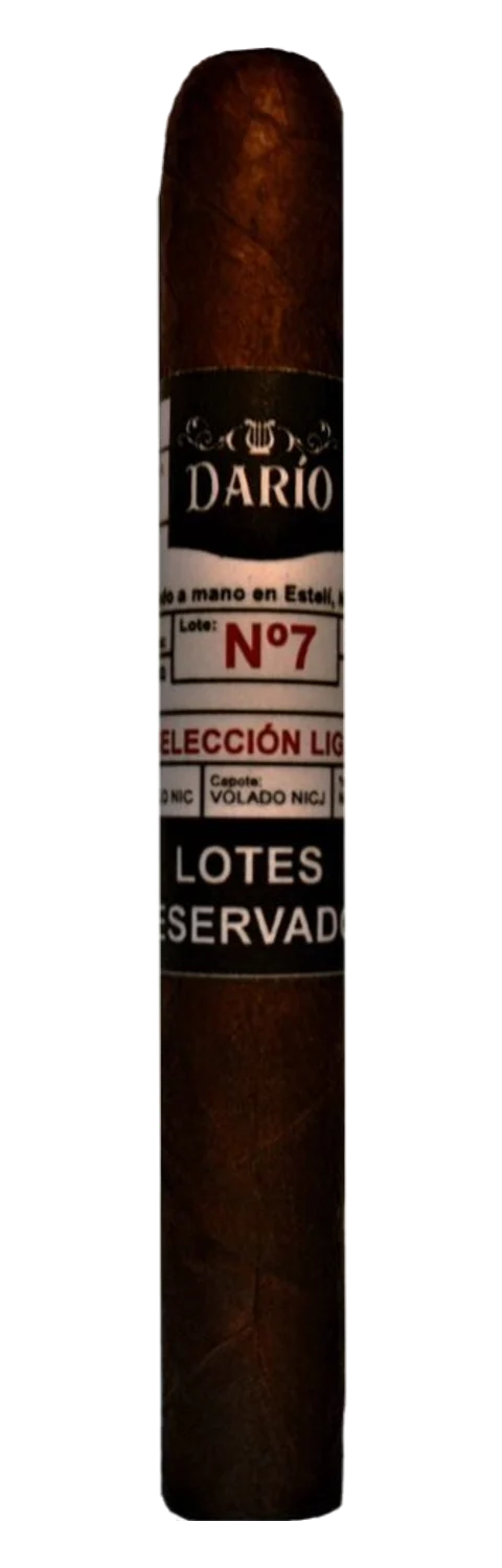 Joya de Nicaragua Daríos Lotes Reservados Nº7 Toro