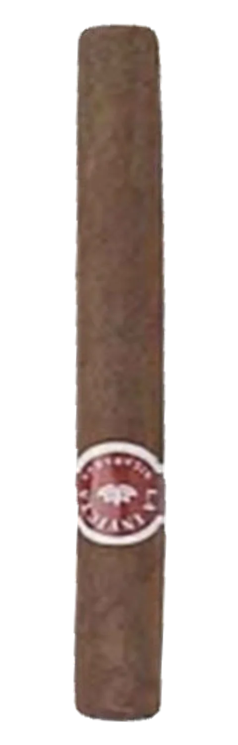 La Invicta Nicaragua Shorts