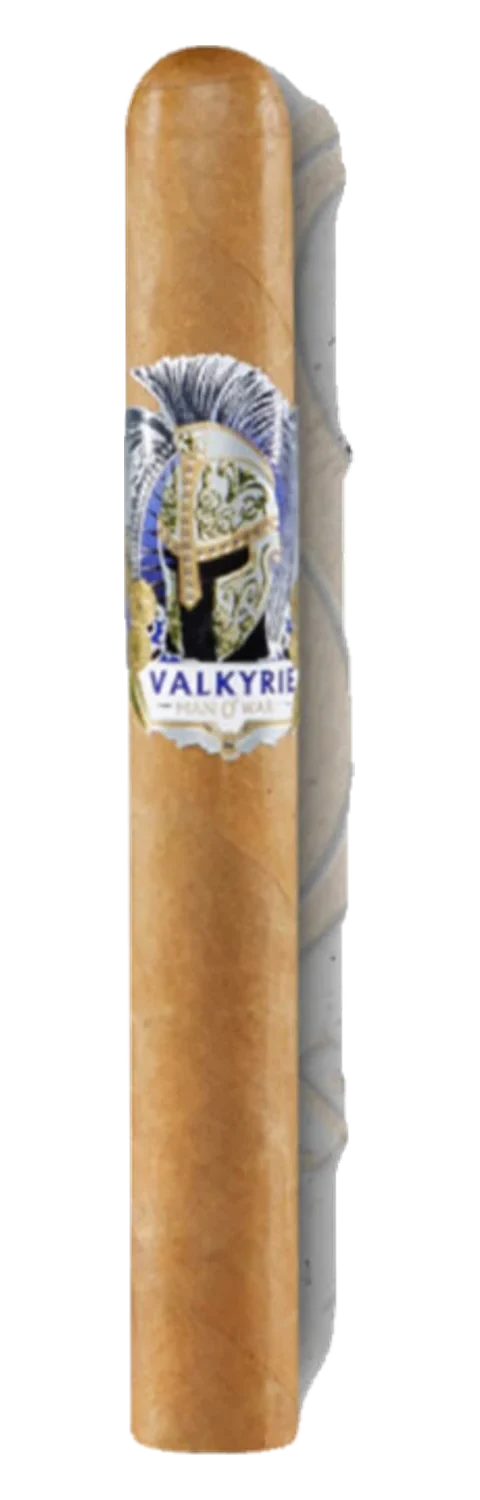 Man O' War Valkyrie Toro
