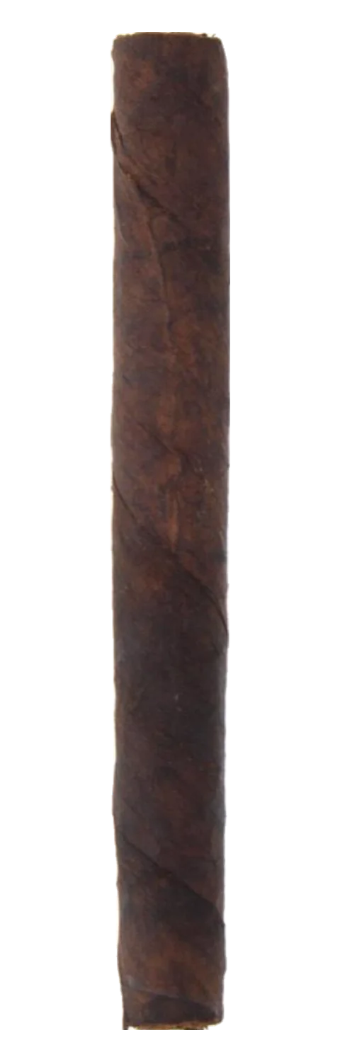 María Mancini Special Edition Señorita