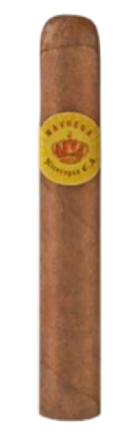Mayorga Robusto