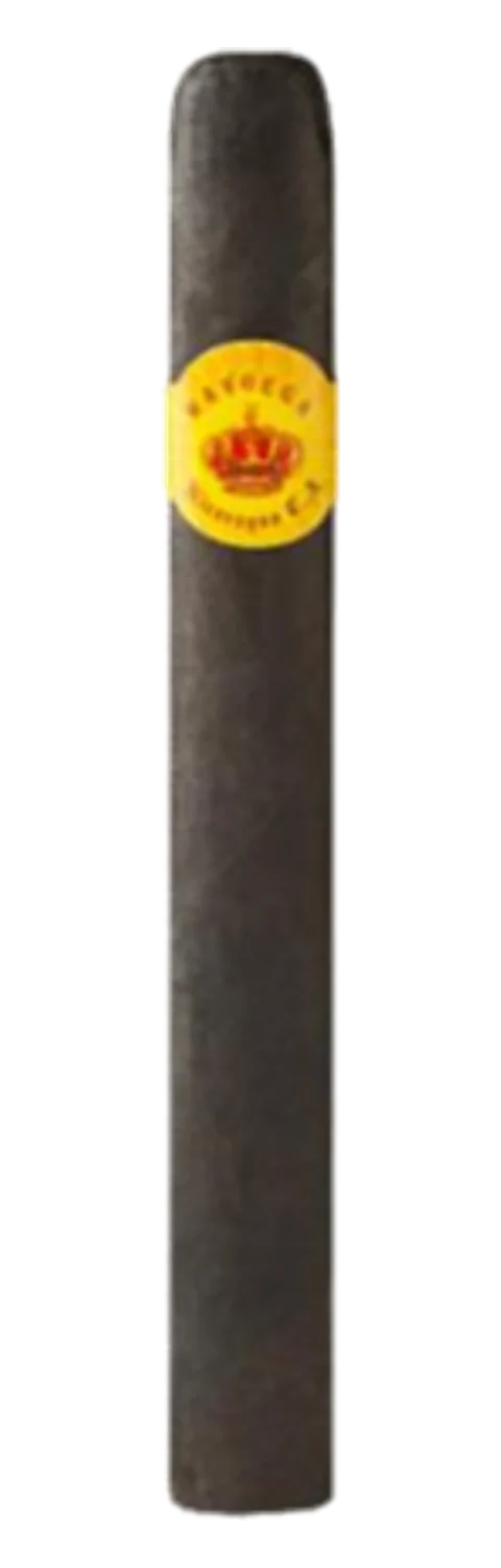 Mayorga Toro Maduro