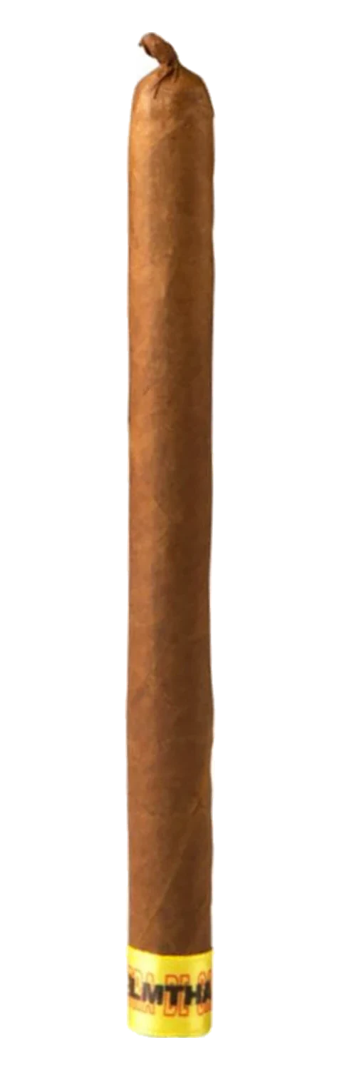 Muestra de Saka Lancero