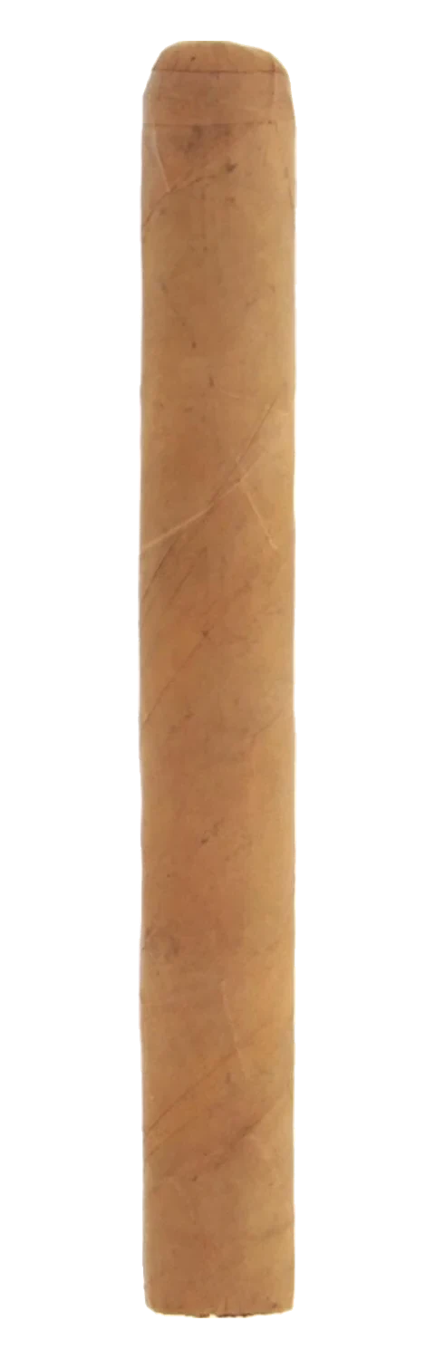 Mustique Amber Corona Blanco