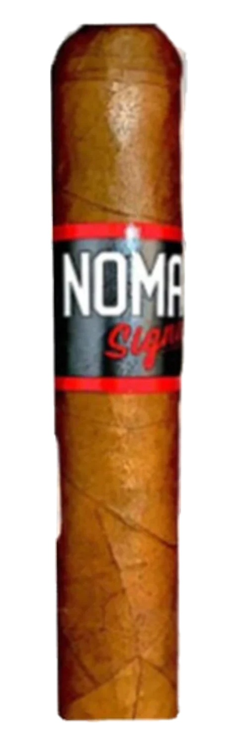 Nomad Signature 2018 Shorty