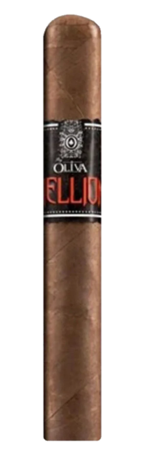 Oliva Hellion by Oliva Hellion Churchill