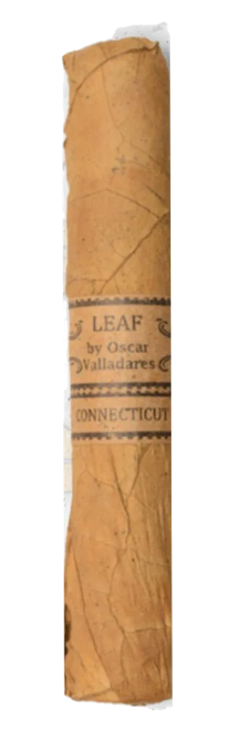 Oscar Valladares Leaf by Oscar Connecticut Sixty