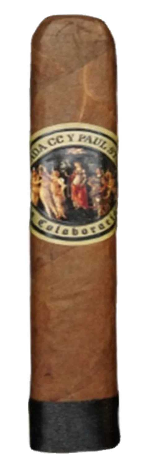 Paul Stulac Mack Aged 2.5 Years BP Toro