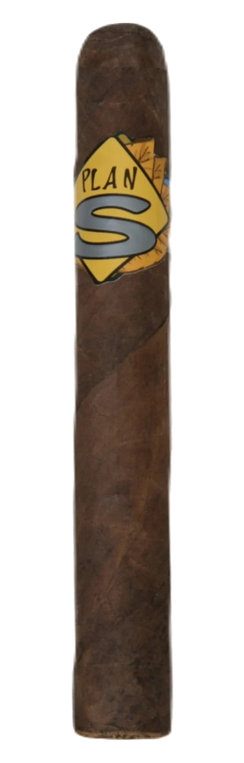 Plan S Toro