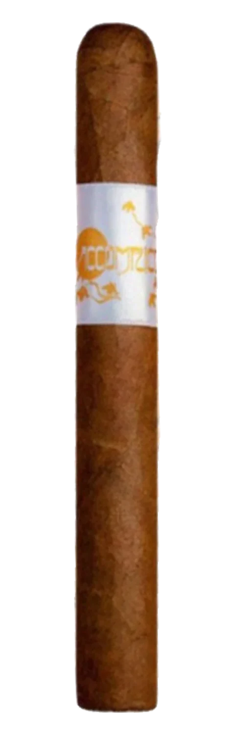 Principle Accomplice Classic Lancero