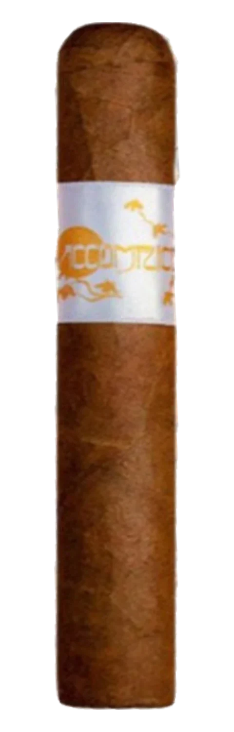 Principle Accomplice Classic Robusto