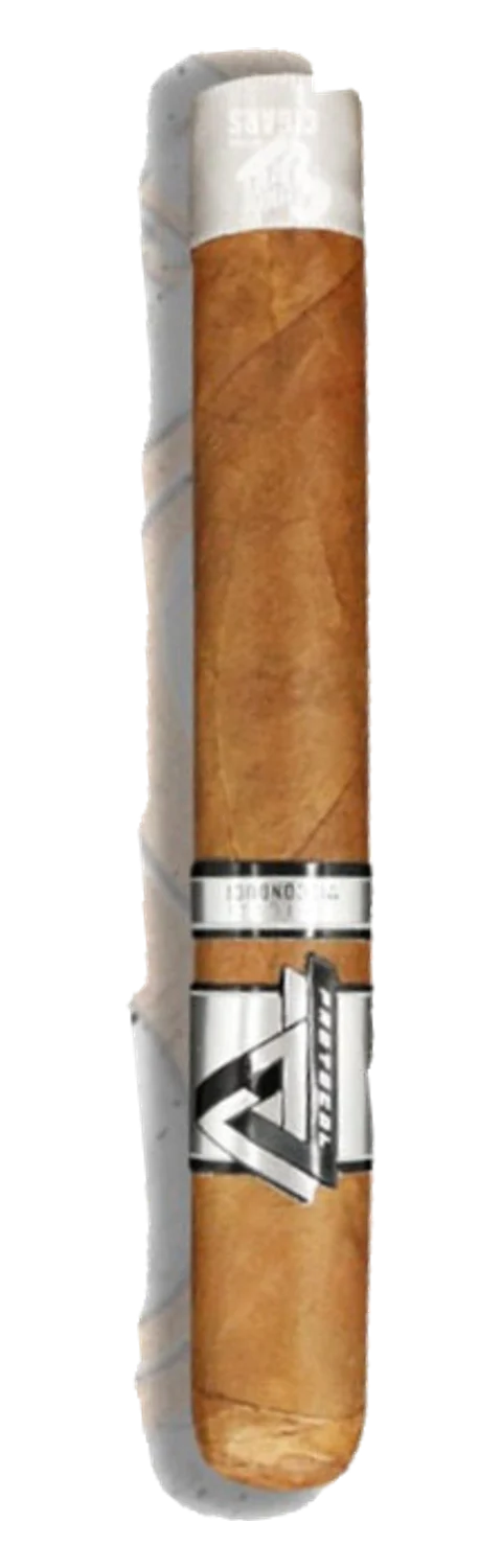 Protocol Espinosa Silver Official Misconduct Toro