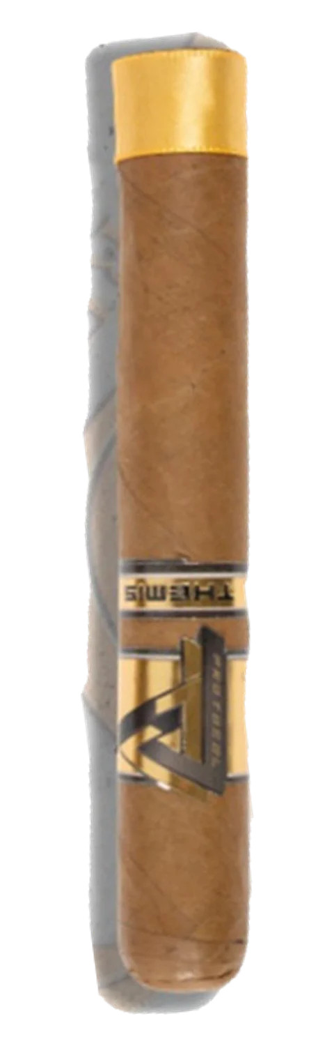 Protocol Themis Toro