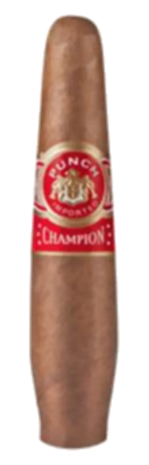 Punch Champion
