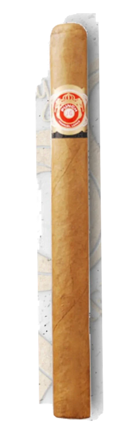 Punch Grand Cru Natural Prince Consort