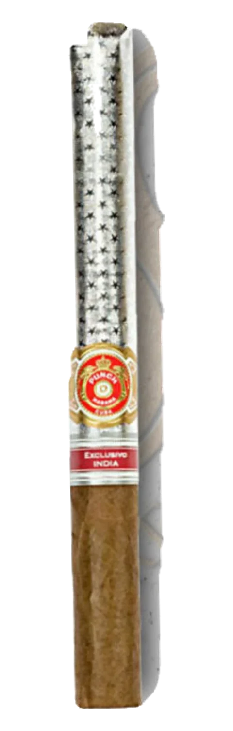 Punch Platino Edicion Regional India 2009