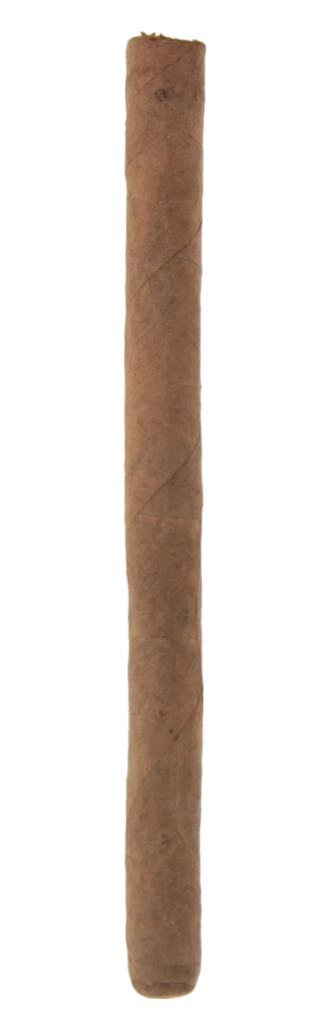 Quorum Clásico Delgados
