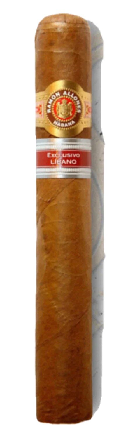 Ramón Allones Sidon Edicion Regional Libano 2013