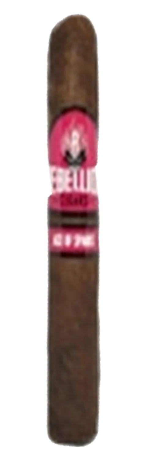 Rebellion Rockstar You Shook Me All Night Long Robusto
