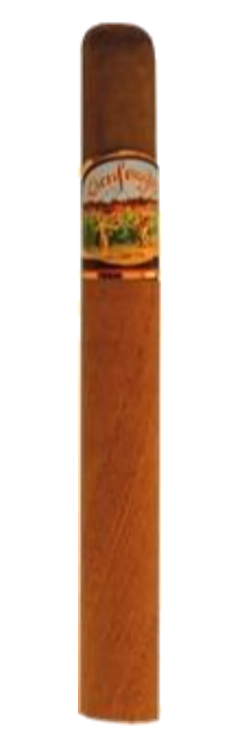 Rolando Reyes Cienfuegos Engine No. 6 Natural Colorado