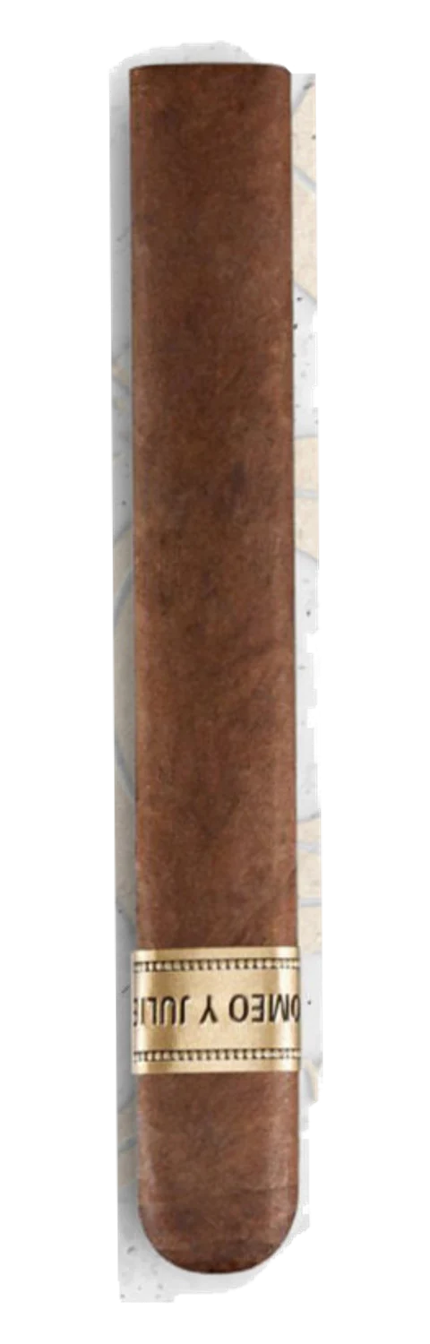 Romeo y Julieta Viejo R Robusto