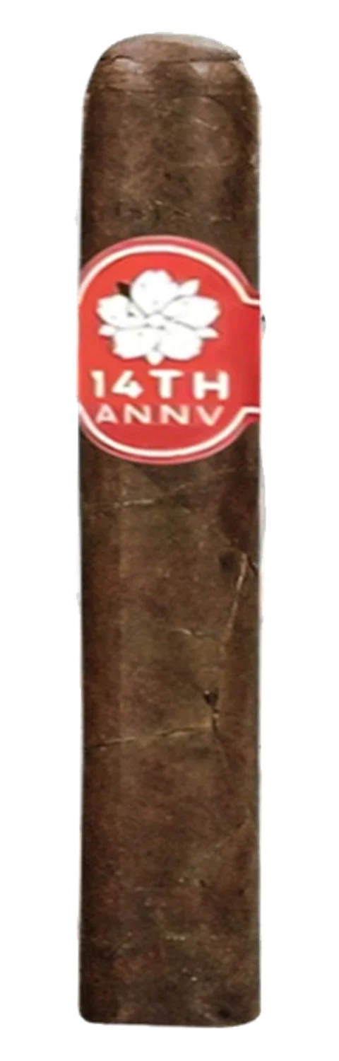 Room 101 14th Aniversario Toro