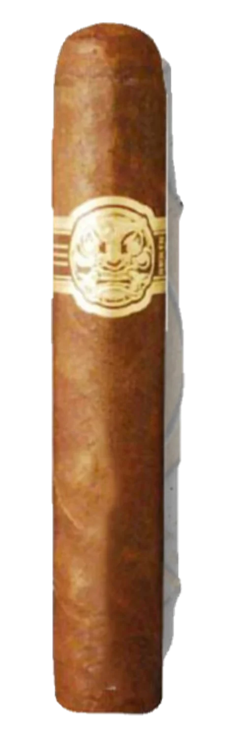 Room 101 San Andres Papi Chulo