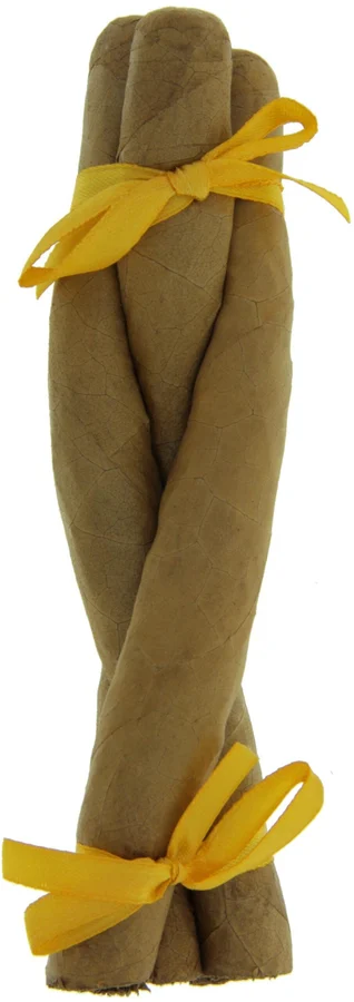Samaná Culebras