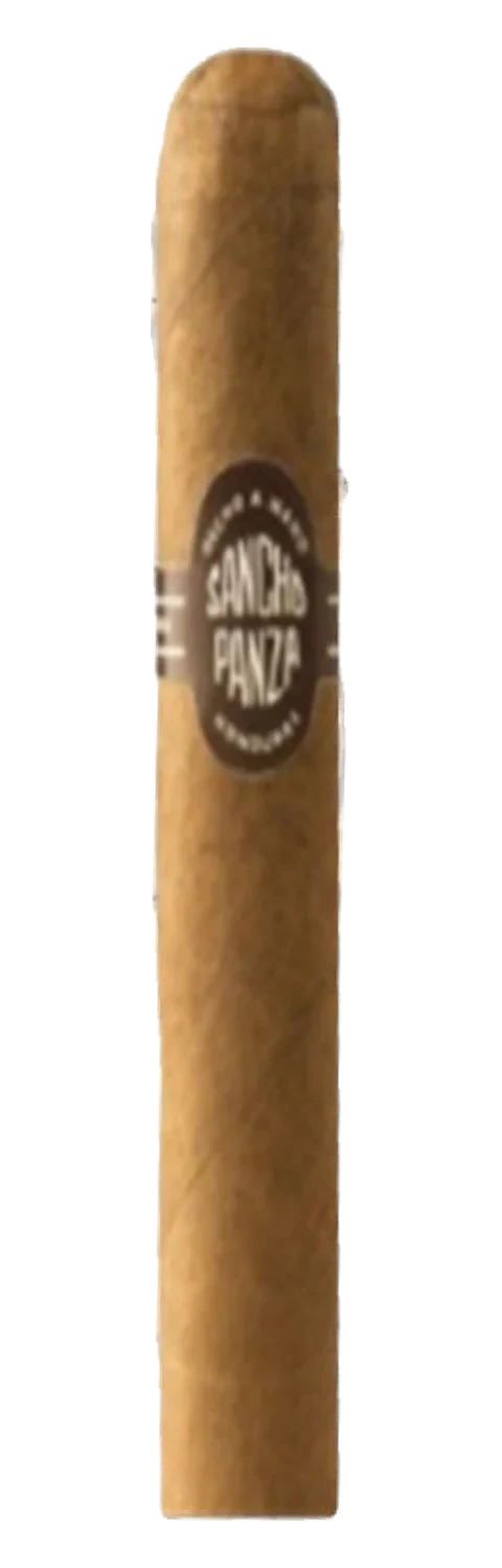 Sancho Panza Caballero