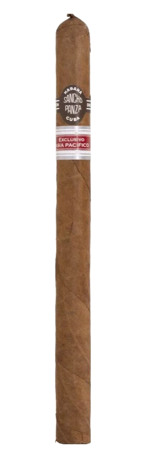 Sancho Panza Rey Regional Asia Pacifico 2021