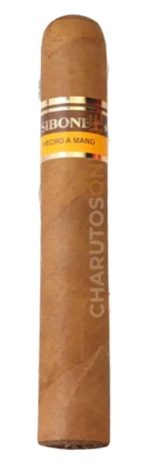 Siboney Toro