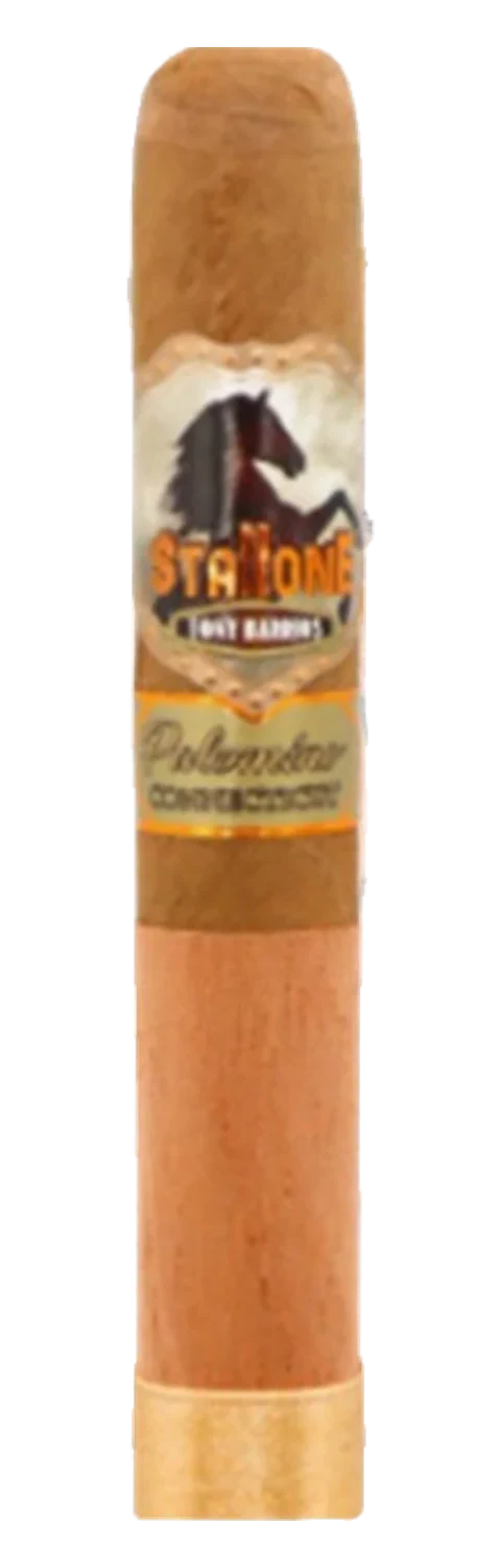 Stallone Cowboy Palomino Connecticut Toro