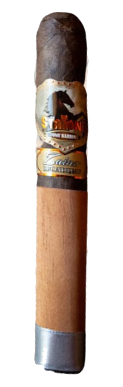 Stallone Cowboy Zaino Broadleaf Toro
