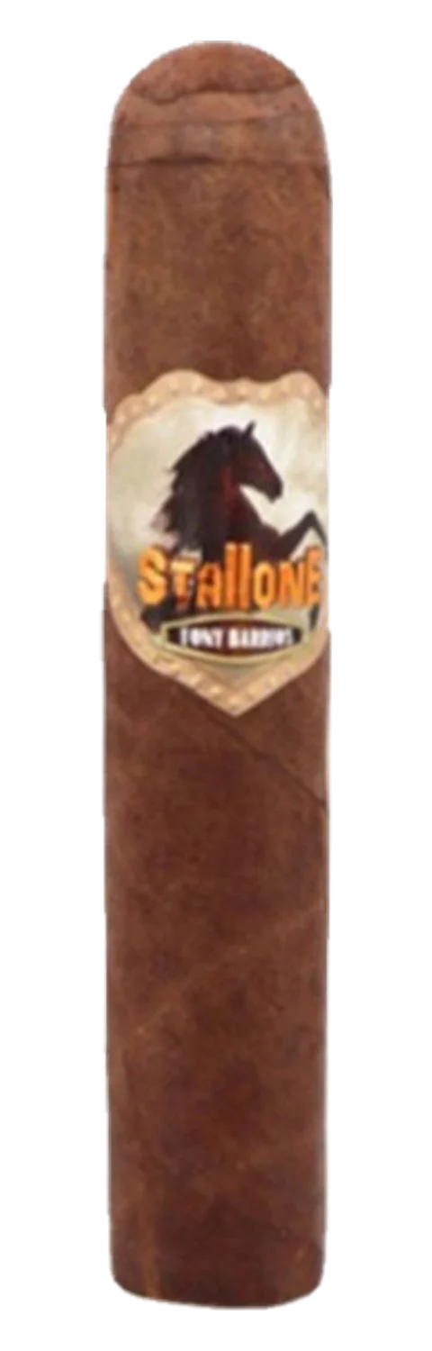 Stallone Pony Short Gordo