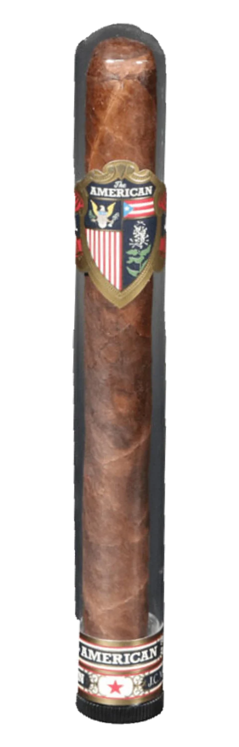 The American The American President