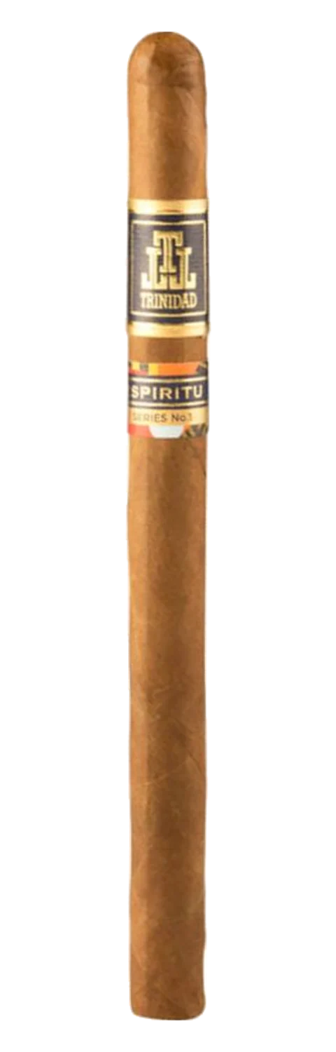 Trinidad Espiritu Fundador