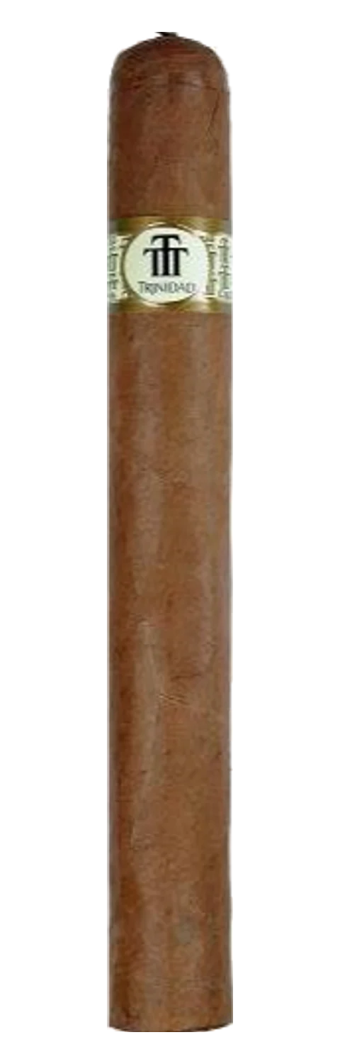 Trinidad Torre Iznaga