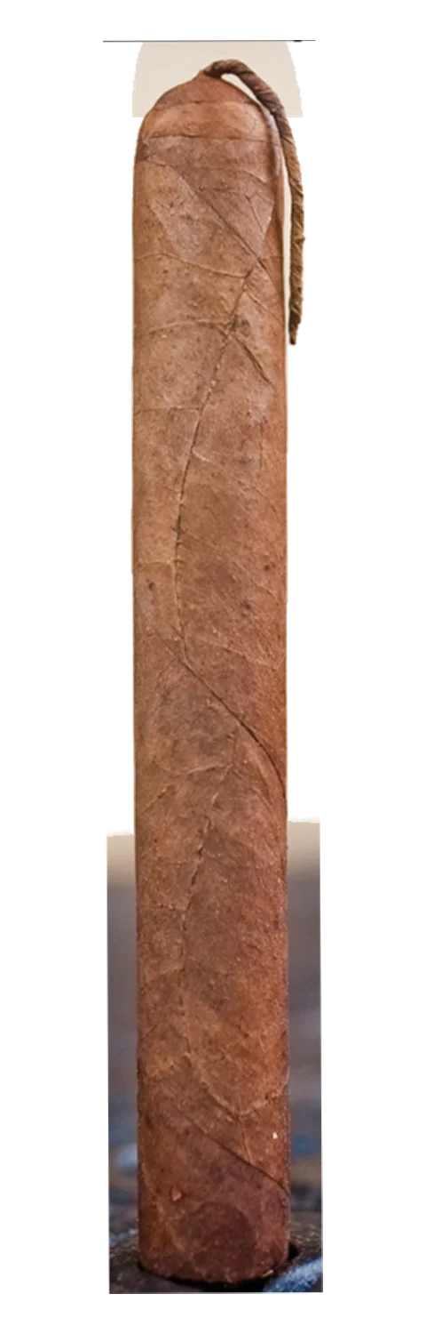 Viaje TNT Double Robusto