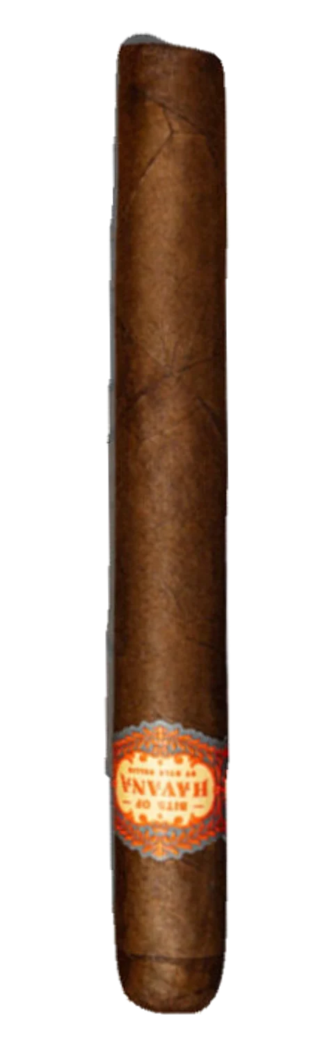 Warped – Bits of Havana – Petit Corona