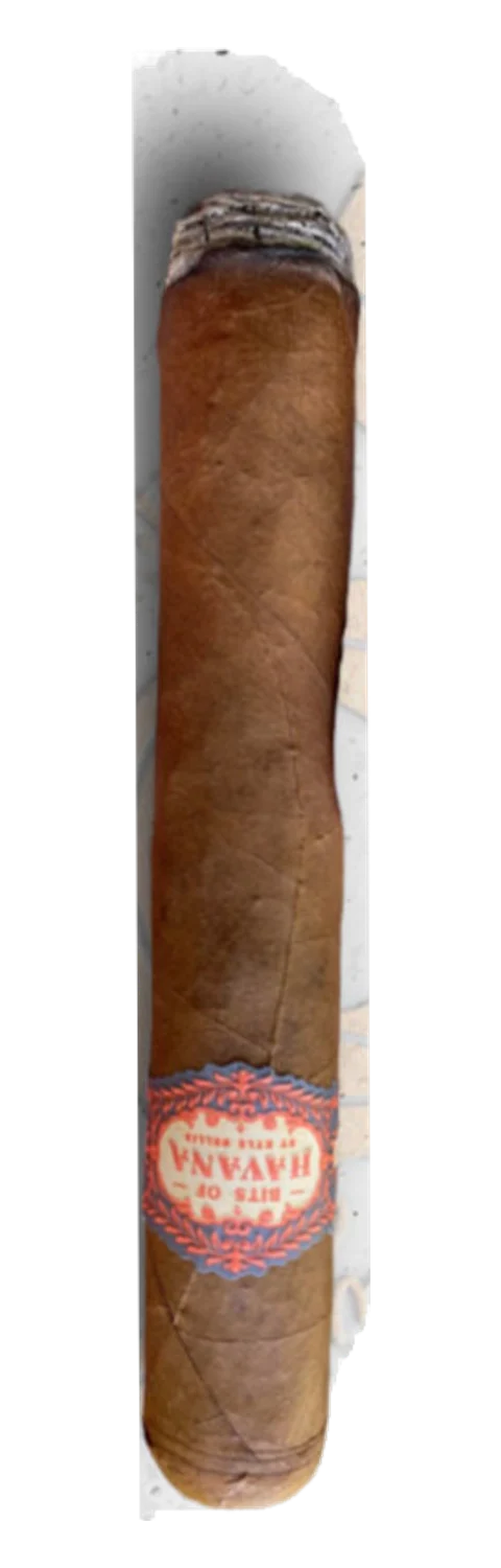 Warped – Bits of Havana – Robusto