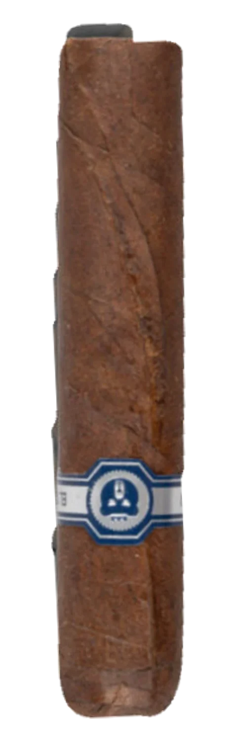 Warped – El Oso – Petit Robusto