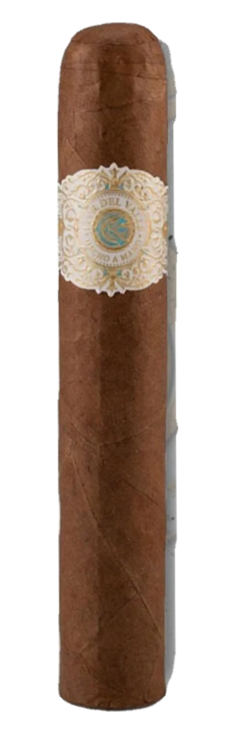 Warped – Flor del Valle – Las Brumas